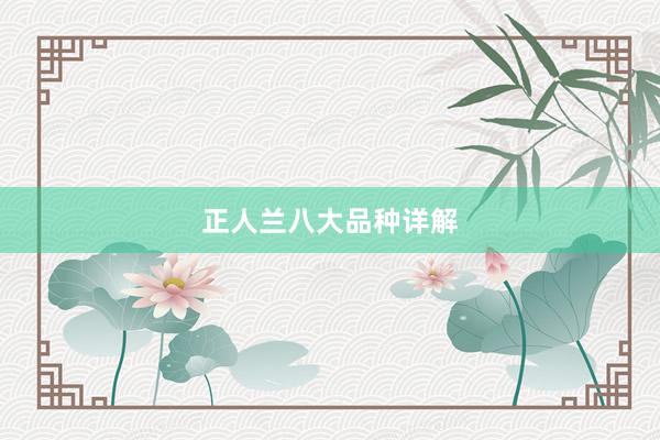 正人兰八大品种详解