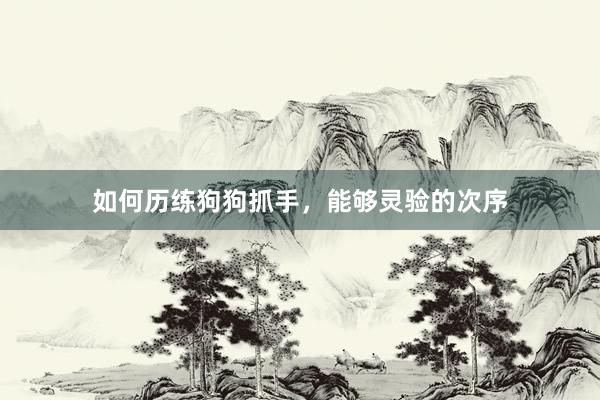 如何历练狗狗抓手，能够灵验的次序